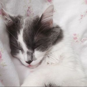 Meet your Posher, Meghan